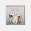 Lottie Murphy Dogs in Hats Christmas Card- Christmas Cards|Christmas