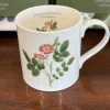 Sophia Davenport Downy-leaved Dog Rose Mug- Flowers & Garden