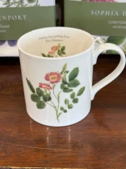 Sophia Davenport Downy-leaved Dog Rose Mug- Flowers & Garden