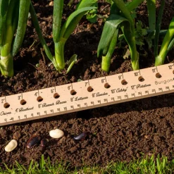 Burgon & Ball Essential Tools Plant Rule- Gardening