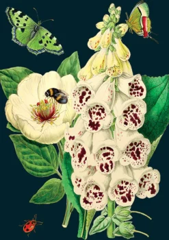 Madame Treacle Foxglove & Peony Greetings Card- Greeting Cards