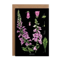Catherine Lewis Foxglove - Black - card- Greeting Cards