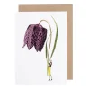 Laura Stoddart Fritillary Blank Greetings Card- Greeting Cards