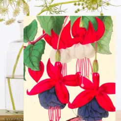 Madame Treacle Fuchsia and Butterfly Card- Greeting Cards