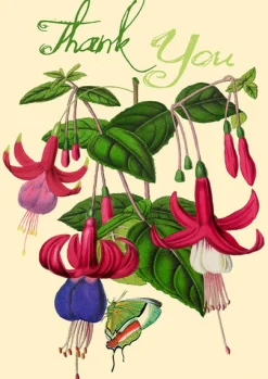 Madame Treacle Fuchsia Glitter Thank You Card- Greeting Cards