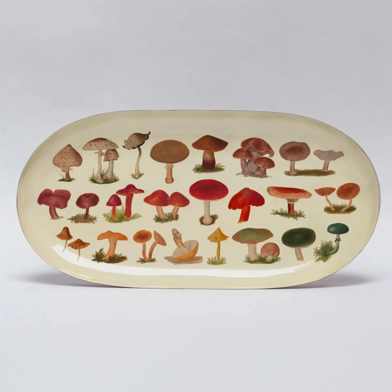 Roomytown Fungi Oval Enamel Printed Tray- Trays|Stationery