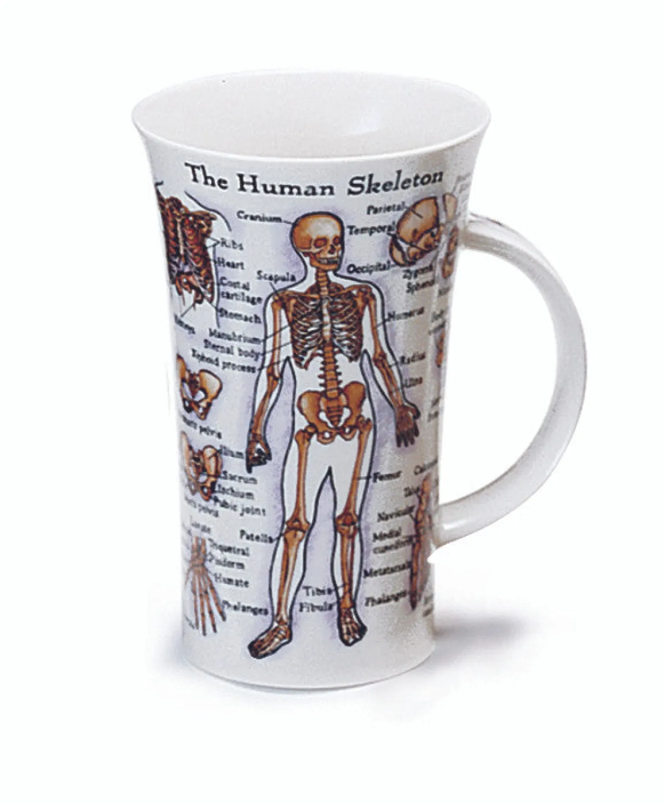Dunoon Glencoe The Human Body Mug- Father's Day|Tea