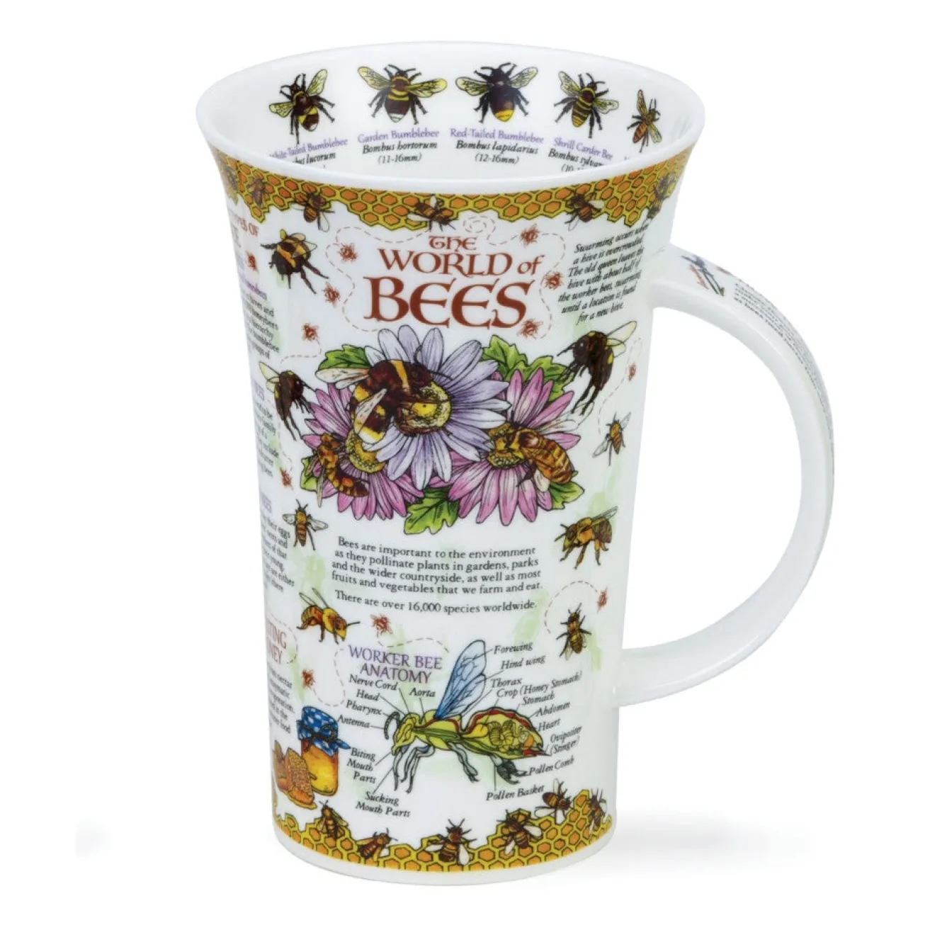 Dunoon Glencoe World of Bees Mug- Tea|Informative