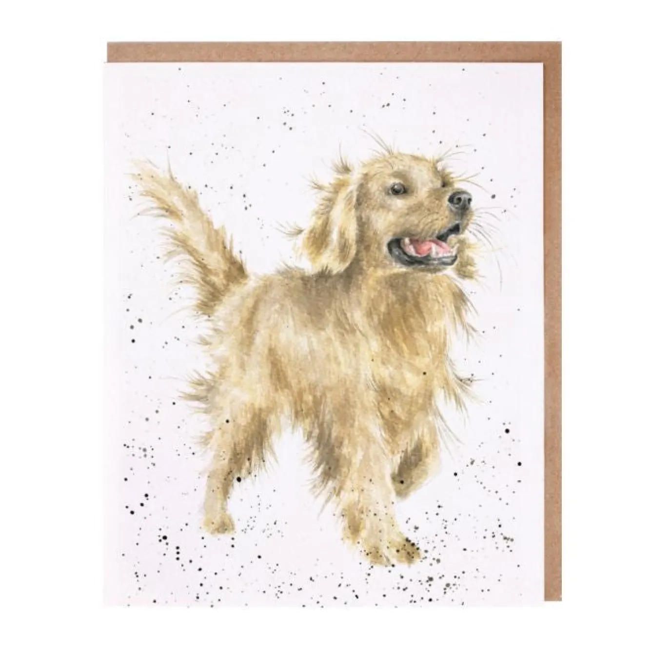 Wrendale Designs 'Golden Boy' Blank Greetings Card- Greeting Cards