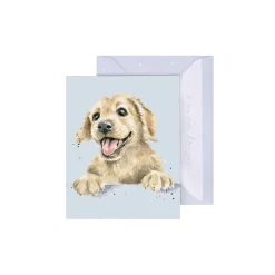 Wrendale Designs 'Golden Boy' Labrador Gift Enclosure Card- Greeting Cards