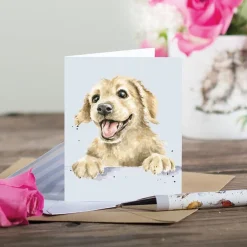 Wrendale Designs 'Golden Boy' Labrador Gift Enclosure Card- Greeting Cards