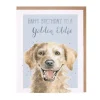Wrendale Designs 'Golden Oldie' Birthday Greetings Card- Greeting Cards
