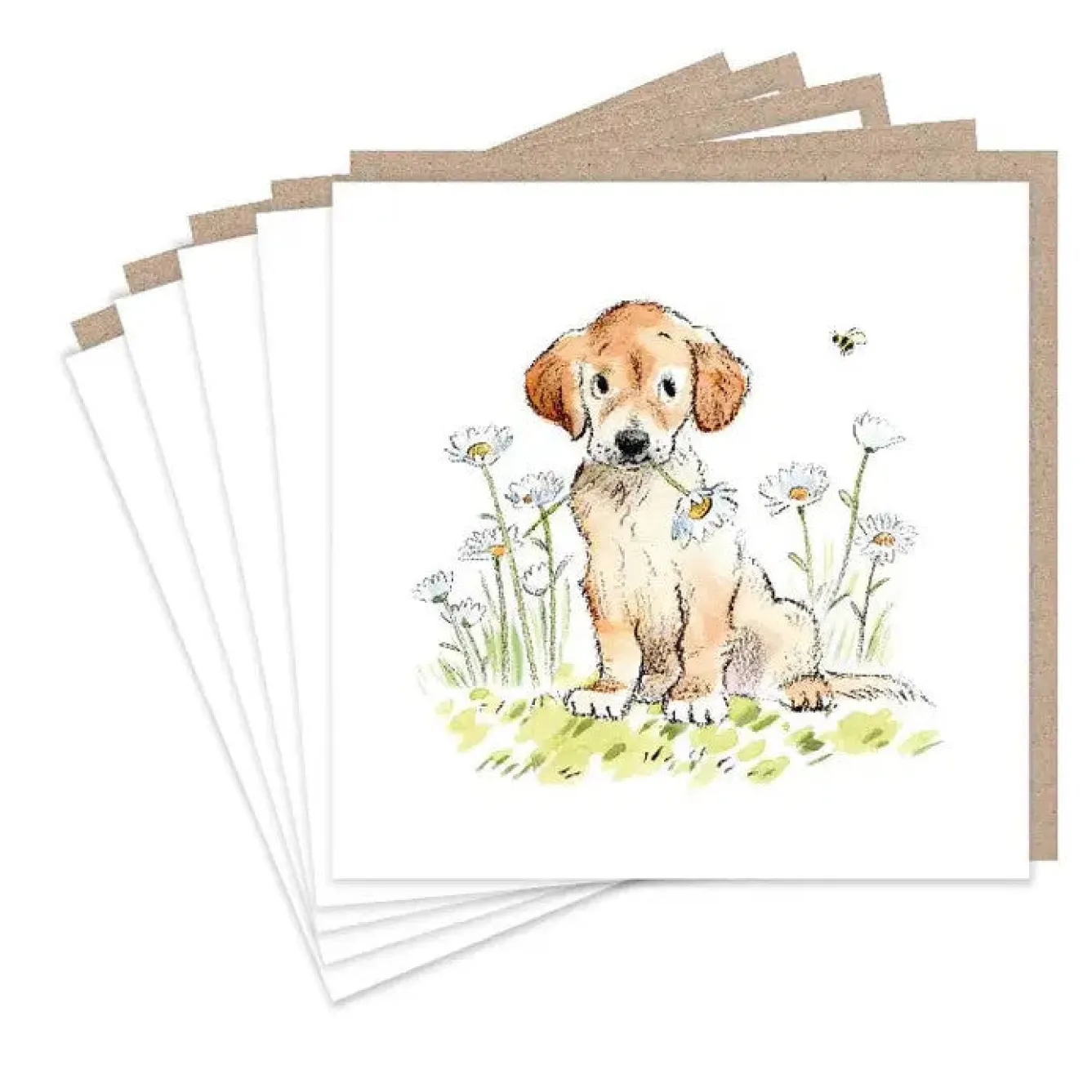 Paper Shed Design Golden Retriever and Daisies Set of 5 Notecards- Greeting Cards