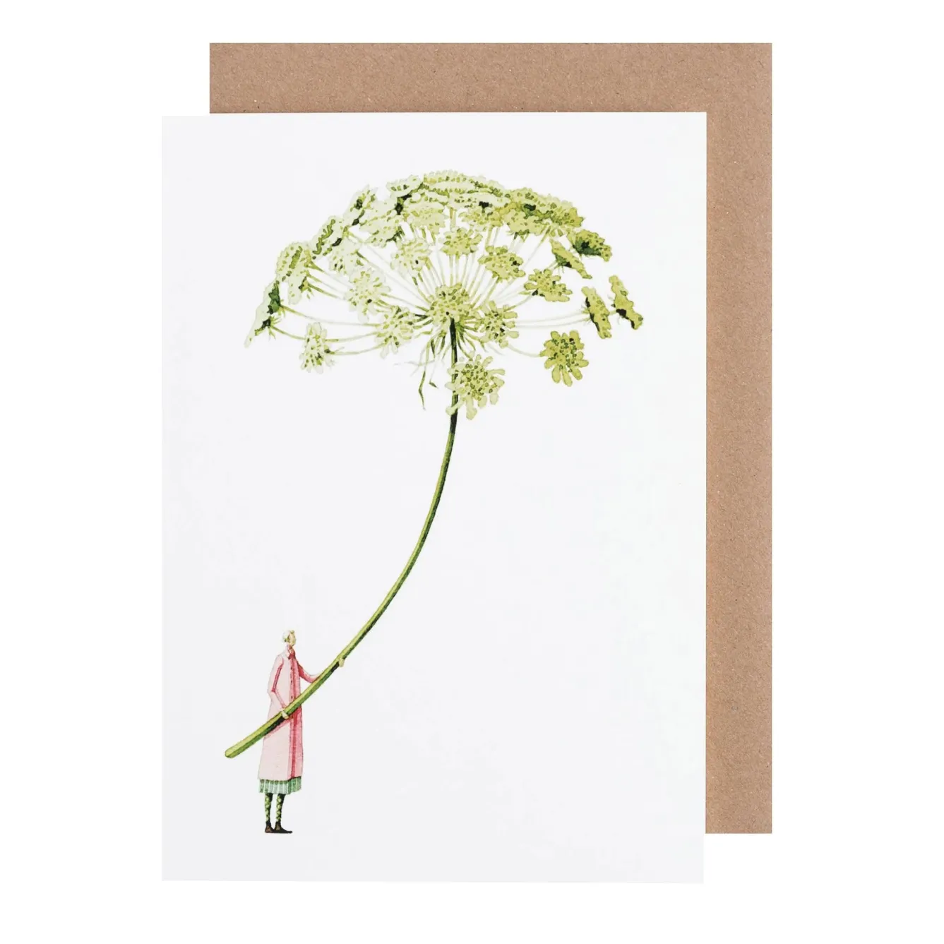 Laura Stoddart Green Ammi Blank Greetings Card- Greeting Cards