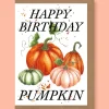 Studio Frewb. Happy Birthday Pumpkin Greetings Card- Greeting Cards