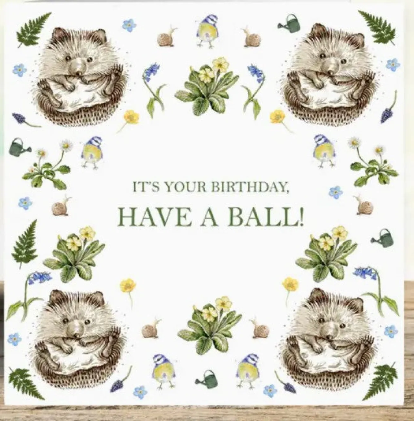 West Country Designs 'Have A Ball' Hedgehogs Birthday Card- Greeting Cards