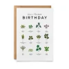 Everlong Print Co. Have a Plantastic Birthday Card- Greeting Cards