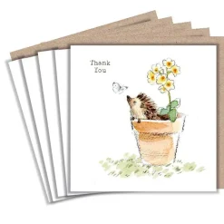 Paper Shed Design Hedgehog in a Flower Pot "Thank You" Set of 5 Notecards- Greeting Cards