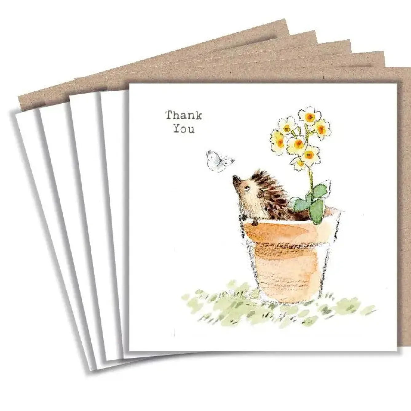 Paper Shed Design Hedgehog in a Flower Pot "Thank You" Set of 5 Notecards- Greeting Cards