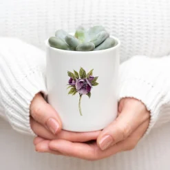 Toasted Crumpet Hellebore Bone China Pot- Flowers & Garden