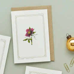 Catherine Lewis Hellebore - 'Botanical Archive: Festive Edition' - card- Greeting Cards