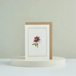 Catherine Lewis Hellebore - 'Botanical Archive: Festive Edition' - card- Greeting Cards