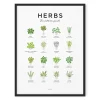 Everlong Print Co. Herbs Guide Print - Framed- Art