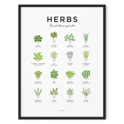 Everlong Print Co. Herbs Guide Print - Framed- Art
