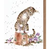 Wrendale Designs 'Hide and Squeak' Cat and Mouse Greetings Card- Greeting Cards