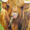 All Jigsaw Puzzles Highland Cow by Gill Erskine-Hill 1000 piece Jigsaw- Father's Day|Puzzles