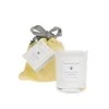 Sophie Allport Honey Spiced Lavender Scented Candle - 75g- Home Fragrance
