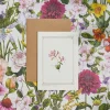 Catherine Lewis Honeysuckle - 'Botanical Archive: Everyday Edition' - card- Greeting Cards