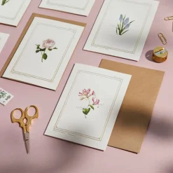 Catherine Lewis Honeysuckle - 'Botanical Archive: Everyday Edition' - card- Greeting Cards