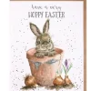 Wrendale Designs 'Hoppy Easter' Rabbit Greetings Card- Greeting Cards
