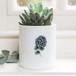Toasted Crumpet Hydrangea Bone China Pot- Flowers & Garden