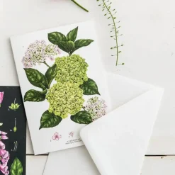 Catherine Lewis Hydrangea - card- Greeting Cards