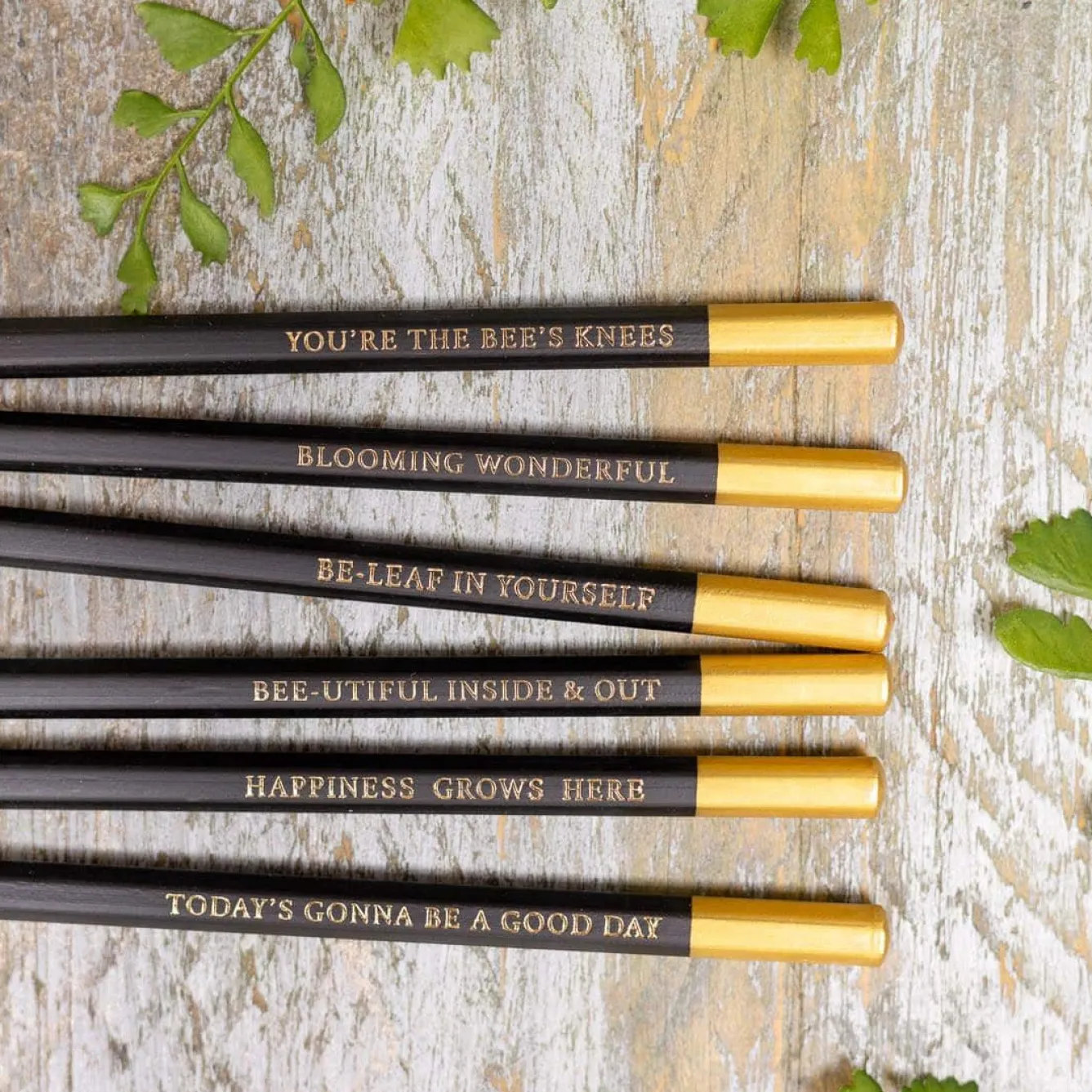 Toasted Crumpet Hydrangea Set of 6 Pencils- Stationery