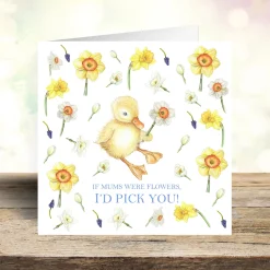 West Country Designs 'I'd Pick You' Duckling & Daffodils Mother's Day Card- Mother's Day|Mother's Day