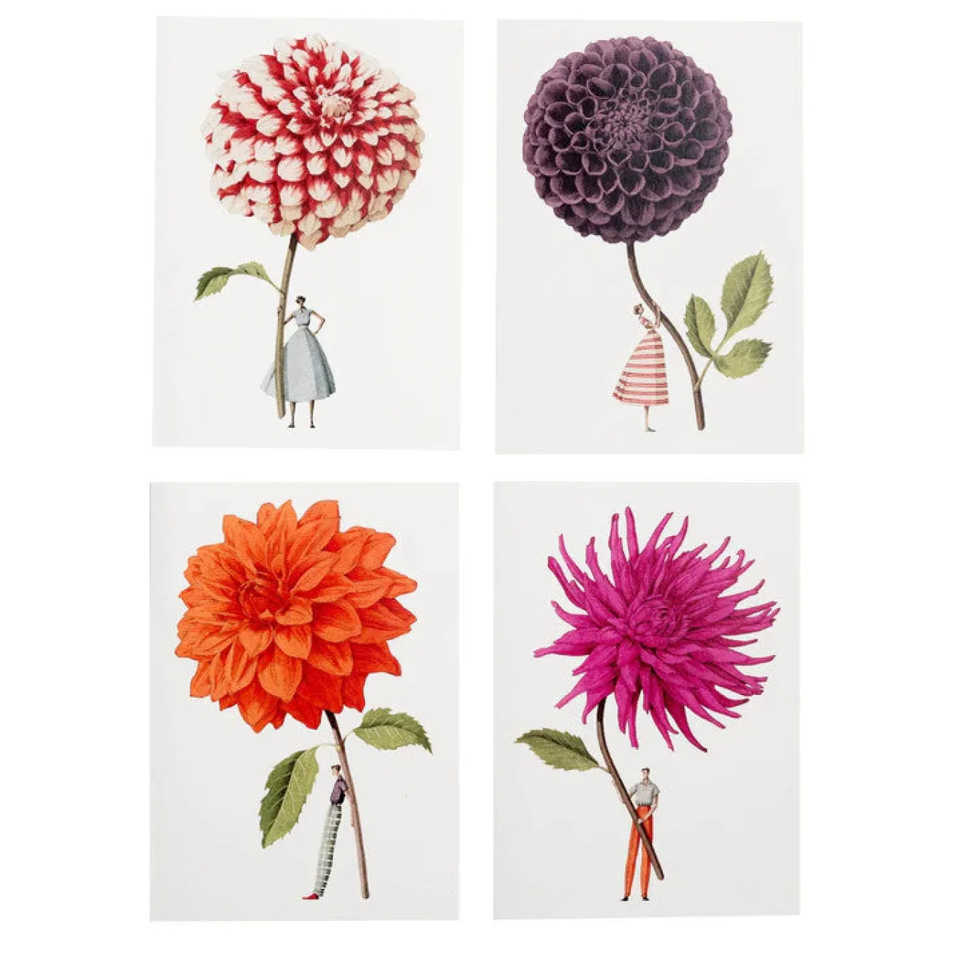 Laura Stoddart In Bloom Dahlia Notecards Set- Stationery