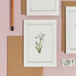 Catherine Lewis Iris - 'Botanical Archive: Everyday Edition' - card- Greeting Cards