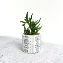 Alex Allday Jasmine Ceramic Planter Pot/Tea Light Holder- Tea|Home Fragrance