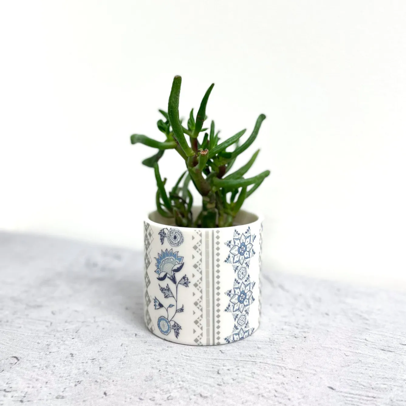 Alex Allday Jasmine Ceramic Planter Pot/Tea Light Holder- Tea|Home Fragrance