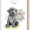 Paper Shed Design Just For You Mum Greetings Card- Mother's Day|Mother's Day