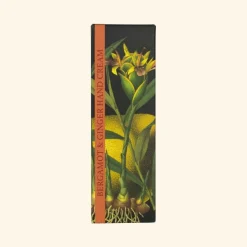 English Soap Company Kew Gardens Bergmot & Ginger Hand Cream- Soaps & Lotions