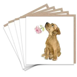 Paper Shed Design Labrador and Rose Set of 5  Notecards- Greeting Cards