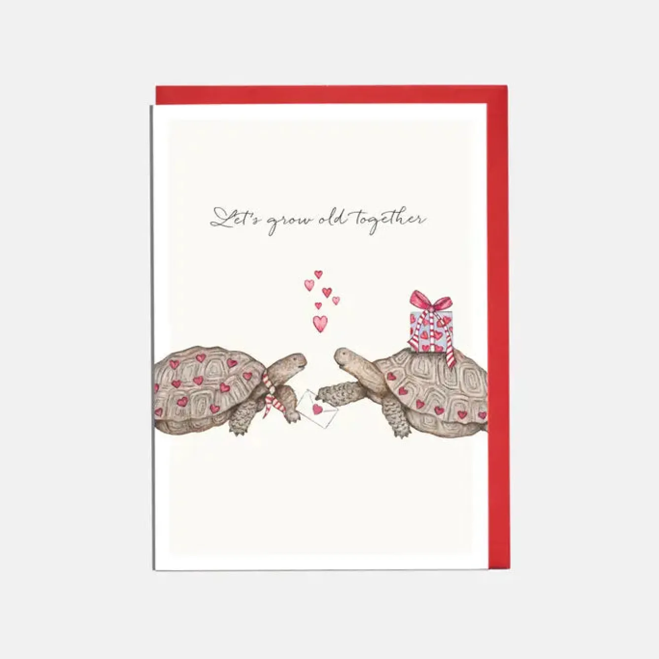 Lottie Murphy 'Let's Grow Old Together' Tortoise Valentine's Card- Valentine's Day