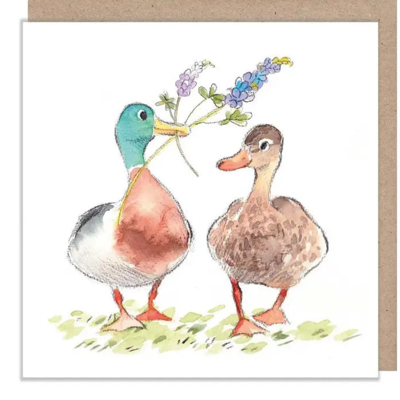 Paper Shed Design Mallards Greetings Card- Greeting Cards