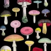 Madame Treacle Many Mushrooms Greetings Card- Greeting Cards