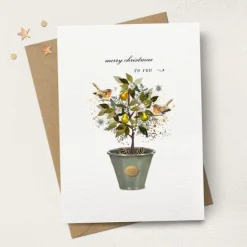 Stephanie Davies Merry Christmas to You Plant Pot Greeting Card- Greeting Cards