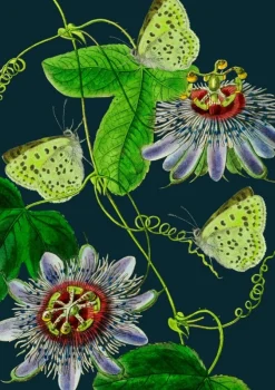 Madame Treacle Midnight Passion Flower Card- Greeting Cards